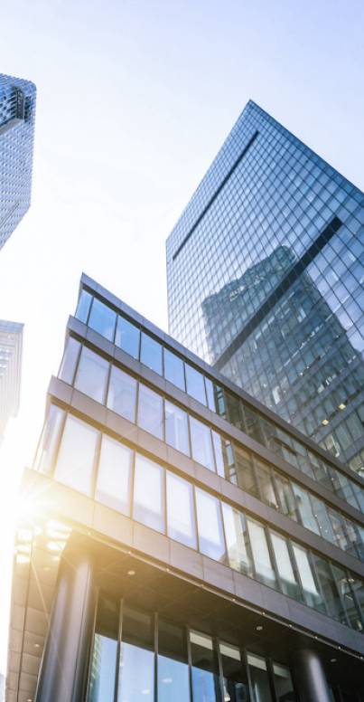 Industry professionals – lecturers from the business world
